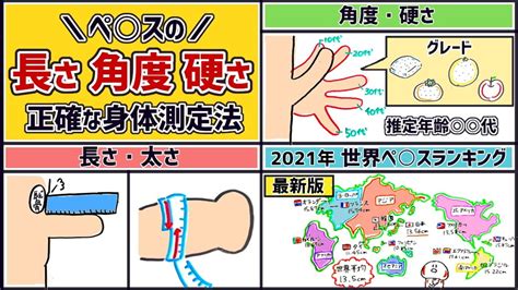 平均チン長|ペニスの平均は！？長さ･太さ･硬さの測定方法